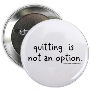 Elite Marketing Pro - Quiiting Is not An Option